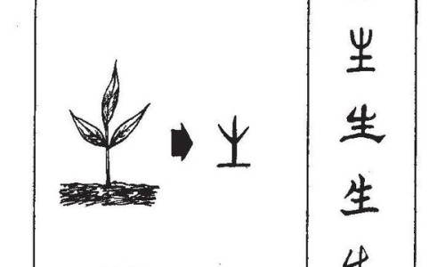 肺炎跟肺炎症有什么区别-肺部有炎症跟肺炎区别网 - 肺部炎症和肺炎一样吗,肺炎症和肺炎区别